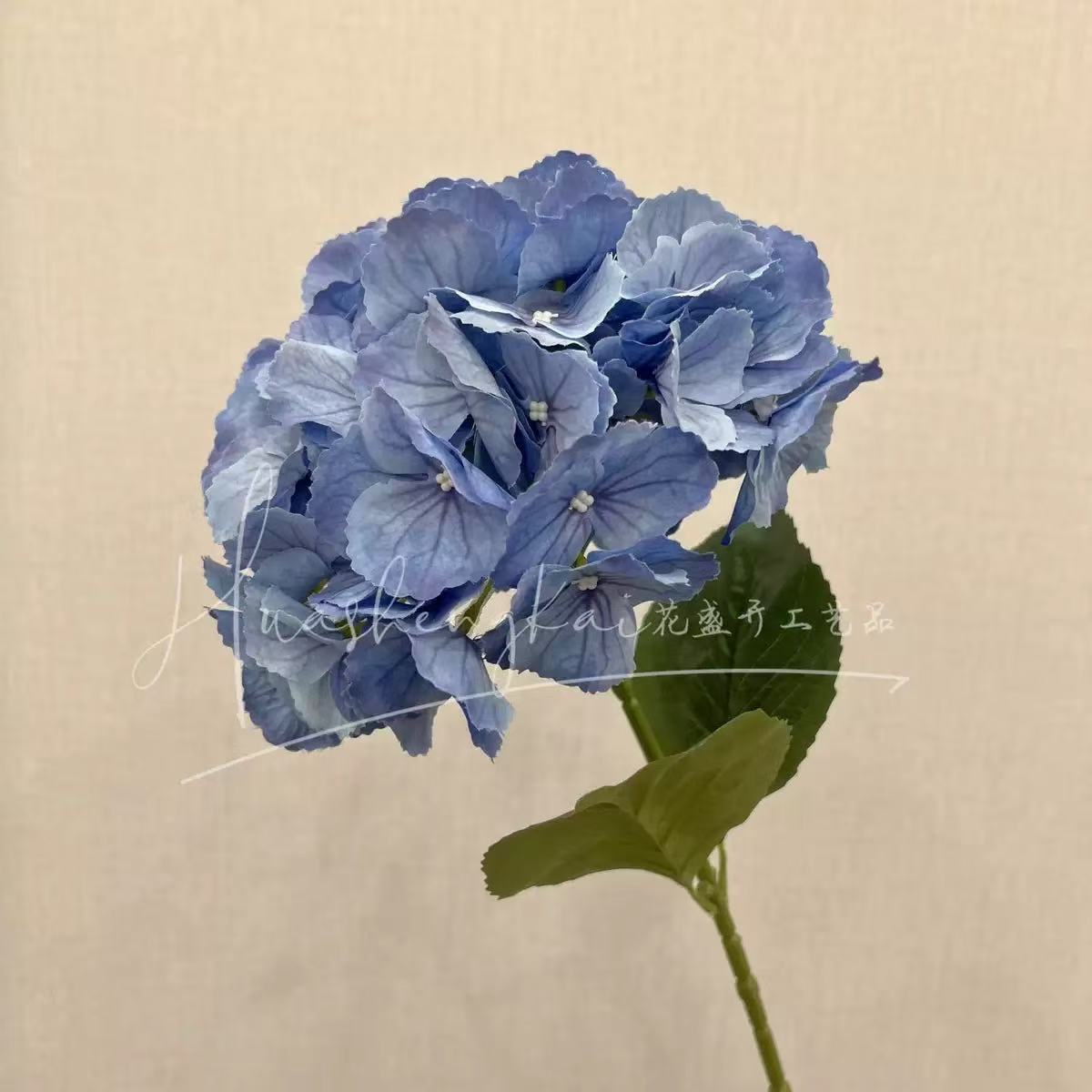 Double-petaled hydrangea
