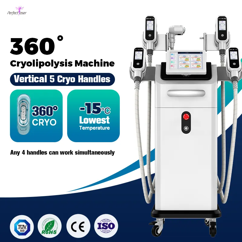 OEM Cryolipolysis dimagrante Cool Tech Cryo 360 Body Sculpt Coolsculption Fat Freeze Cryolipolysis Slim Machine prezzo in vendita