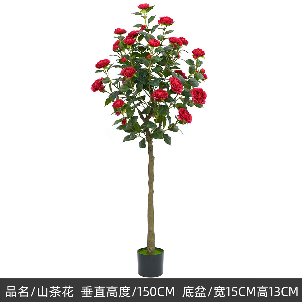 150cm camélia, rouge
