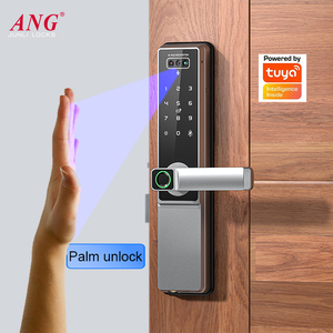 ANG Tastatur Digital Code Türschloss Gesichts erkennung Lithium batterie Smart Key Lock Mit Kamera Palm Vene Türschloss - Product Image 3