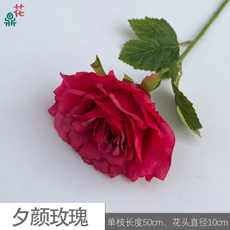 Xi Yan Rose EH rose red
