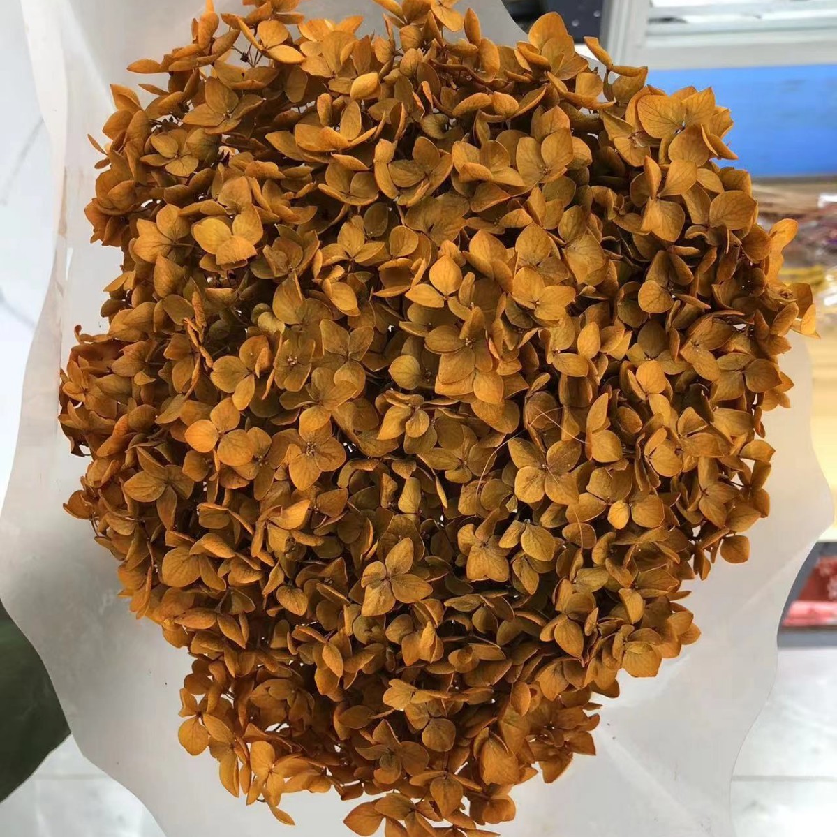 Naranja claro