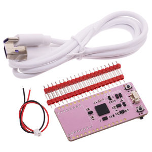 RP2040 scheda di sviluppo Raspberry Pi con LCD da 1.14 pollici supporta LORA Arduino/MicroPyth