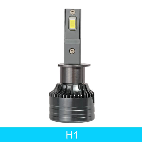 H1
