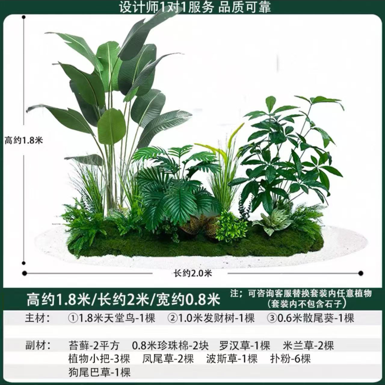 Dragon Blood Tree 2mlong