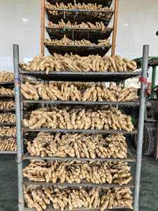 Cina verdure fresche lavate zenzero zenzero fresco zenzero essiccato aglio allo zenzero con il prezzo all'ingrosso - Product Image 4