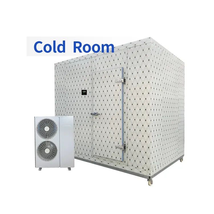 Salas frías industriales extraíbles y contenedor de explosión de congelador Chambre Froide Walk In Unidad de refrigeración Sala de almacenamiento en frío