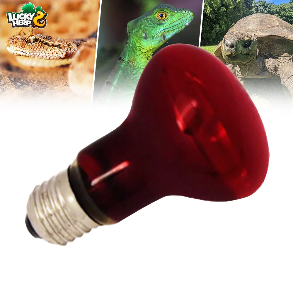 Lámpara de calefacción infrarroja para reptiles, luz Uv de 120v, con precio de descuento, suministro de fábrica