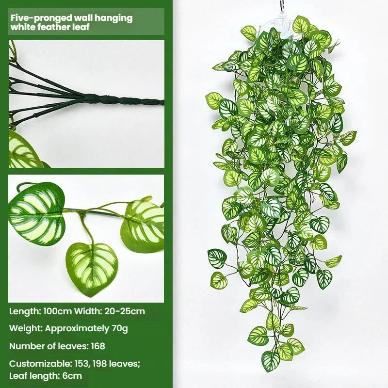 White-feathered leaves