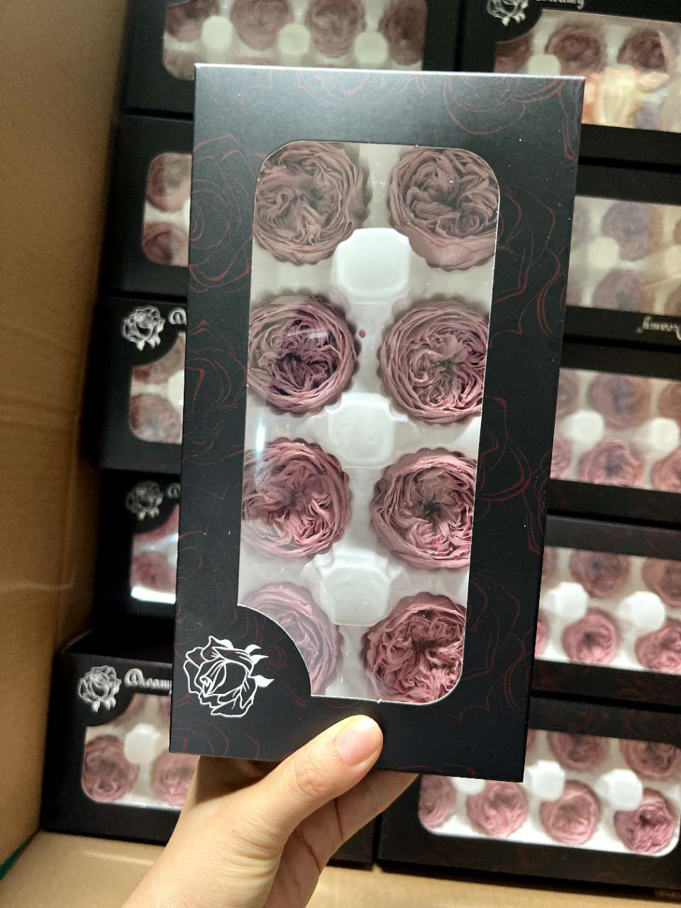 Rose violet