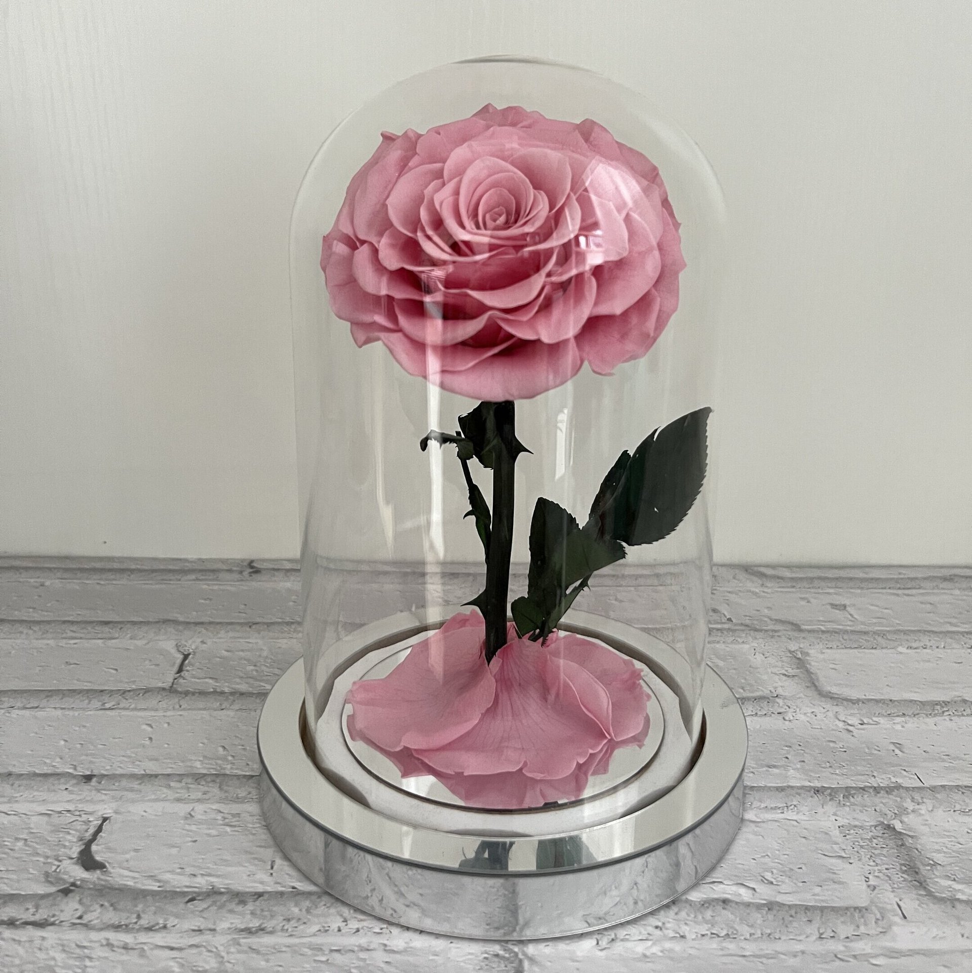 Cerise en poudre fond argent sans lampe avec boîte cadeau