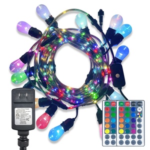 48FT RGB <strong>String</strong> <strong>Lights</strong> with Rope Fairy <strong>Color</strong> Changing with Remote Shatterproof Edison Bulb <strong>String</strong> <strong>Lights</strong> for Garden Christmas - Product Image 1