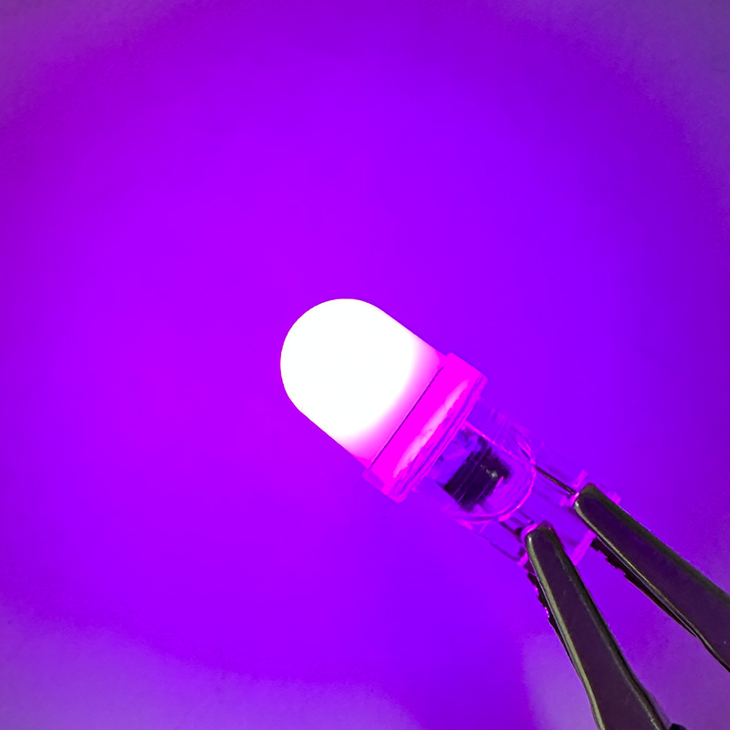 Pourpre