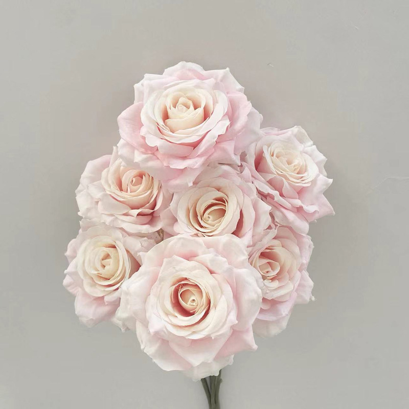 rosa rosa chiaro