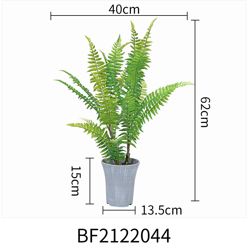 Green-BF2122044