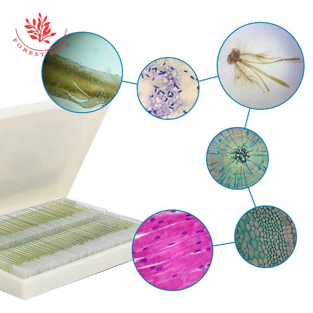 Toboganes en caja de madera, toboganes en caja de madera, tipo general, ciencia Natural y enseñanza, 200 piezas