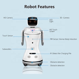 Ticari insansı akıllı hizmet alımı robot desteği çoklu dil akıllı ev arkadaşı Robot - Product Image 6