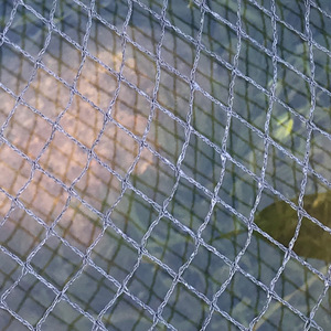Anti Hagel Polyethylen Netz Vogelschutz mit Kunststoff Mesh Anti Hagel Netz für die Landwirtschaft