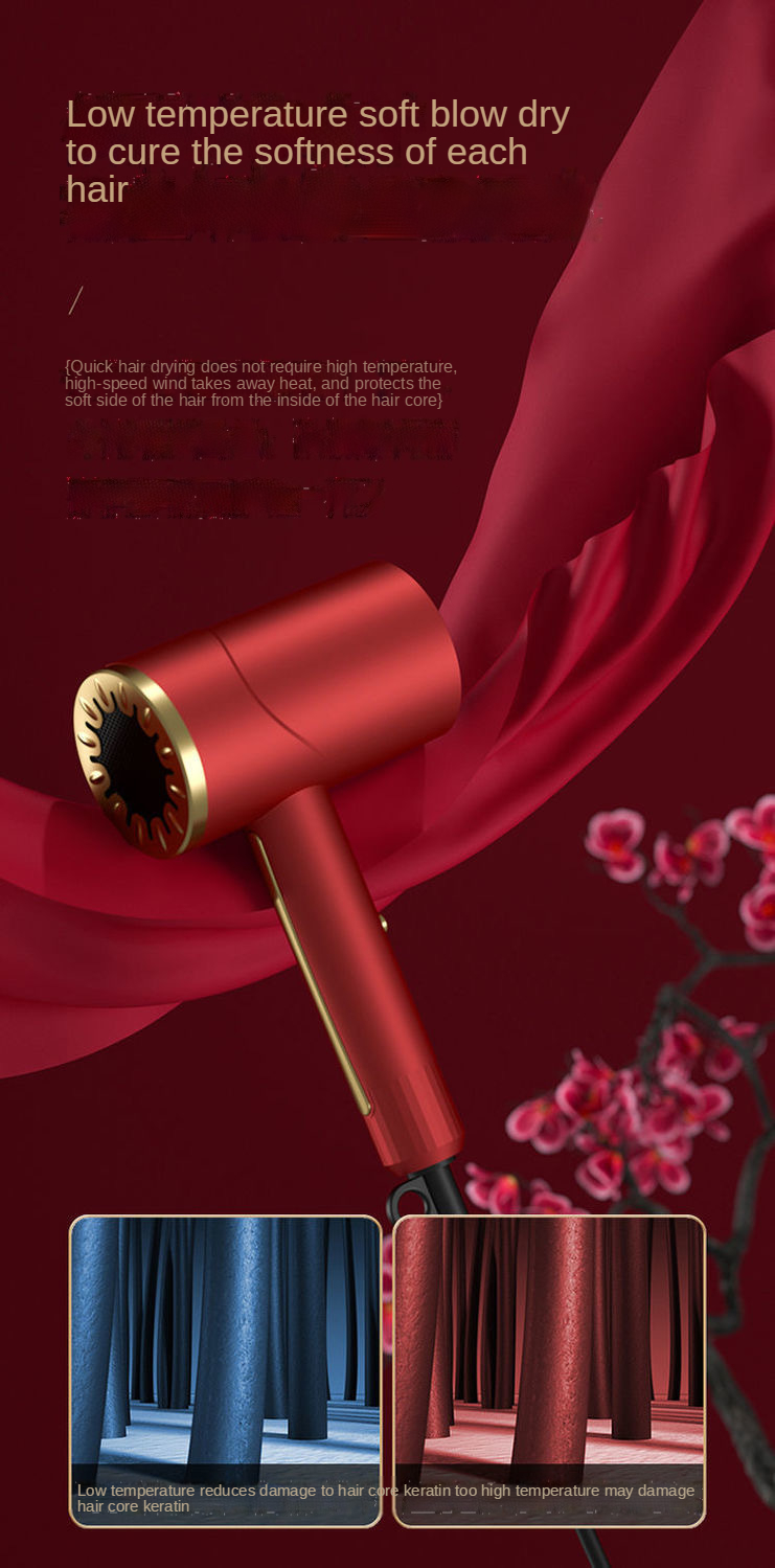 Amazon new fashion hair dryer negative ion hair care quiet and quick-drying household salon travel Professional hair dryer