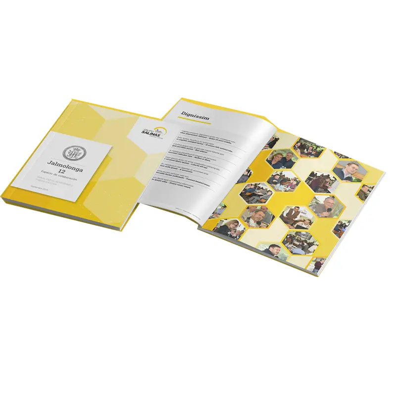 2024 pabrik kustom pemasaran stiker Mini instruksi lipat katalog buku cetak brosur