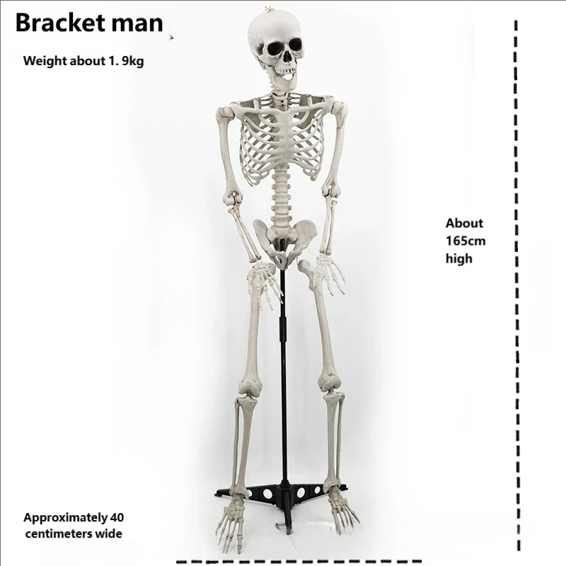 Hombre esqueleto de andamio