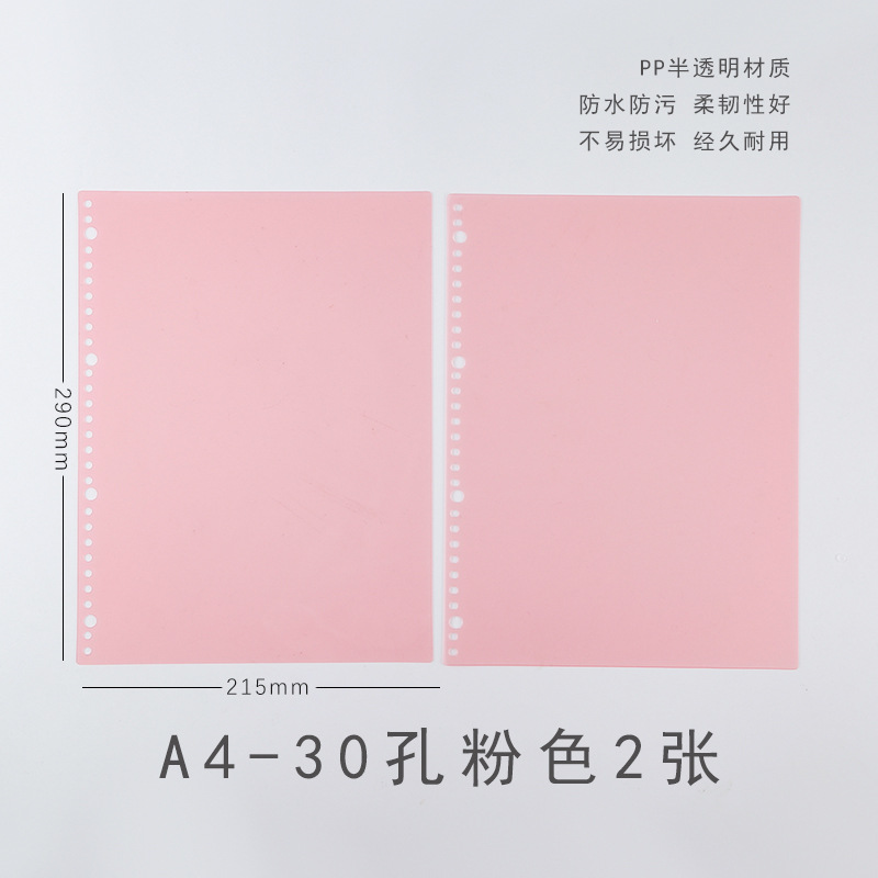 A4 Pink (2 sheets with PP cover)