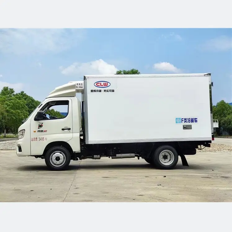 China Goedkope Gekoelde Vrachtwagen Fototon Mini Vriezer Bestelwagen Bevroren Voedsel Transport Vrachtwagen
