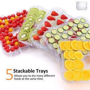 ベストセラーexcalibur5トレイ脱水機26時間タイマー乾燥機食品脱水グアバナッツ野菜果物脱水