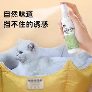120ml Spray Bottle Premium All Natural Maximum Potent <strong>Catnip</strong> for Cats Great for Training Redirecting Bad Behaviors - Product Image 4