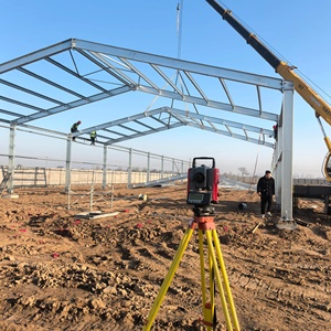 Casa de codorniz de estructura de acero prefabricada rentable con integración de sistema de alimentación automática - Product Image 3