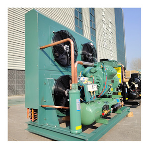Dondurucu <span class=keywords><strong>Chiller</strong></span> için yüksek kalite marka hava soğutmalı yoğuşmalı birim soğuk oda soğutma kompresörü kondenser ünitesi