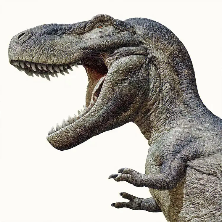 2023 nuevo diseño Parque de Atracciones 4m realista caminar simulado animatronic dinosaurio modelo disfraz de exterior