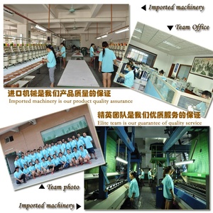 批发定制鹰补丁刺绣大标志设计熨斗和缝制刺绣补丁服装 - Product Image 6