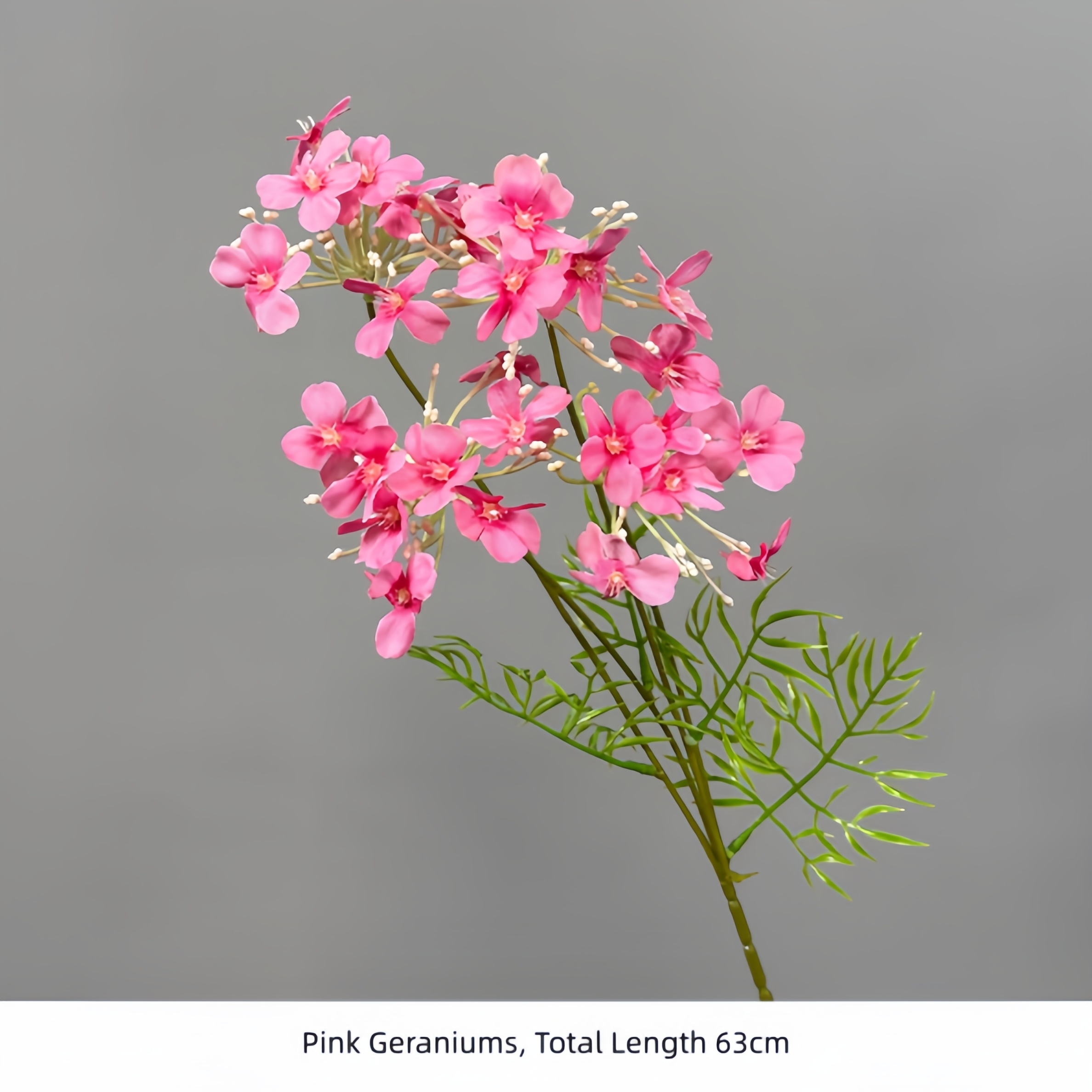 Pink Geraniums