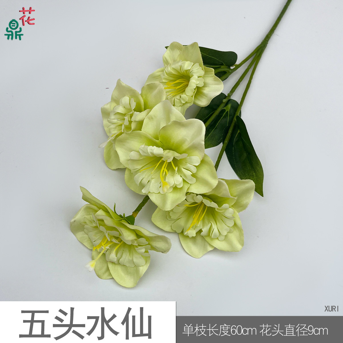 Narcisse XURI Vert à cinq têtes