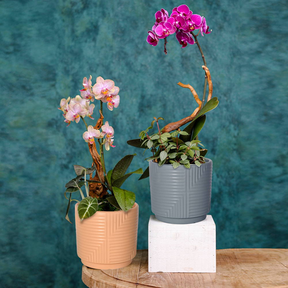 Wholesale Garden Indoor striped Flower Pots Decor White Modern Small Ceramic Plant Pots