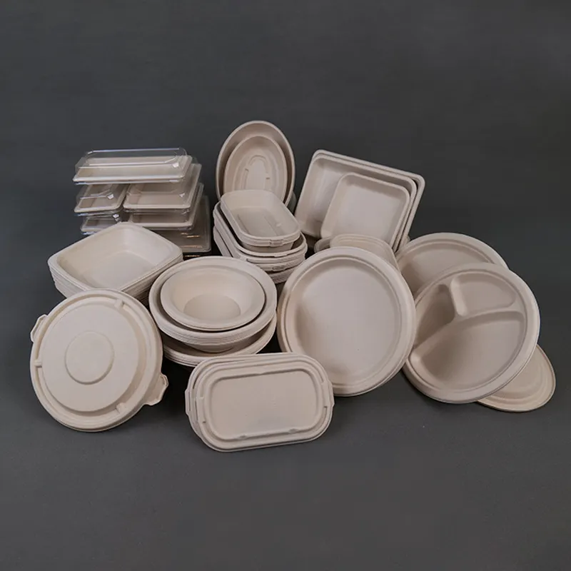 Eco Friendly Biodegradable Disposable sugarcane pulp paper bowl bagasse box plate