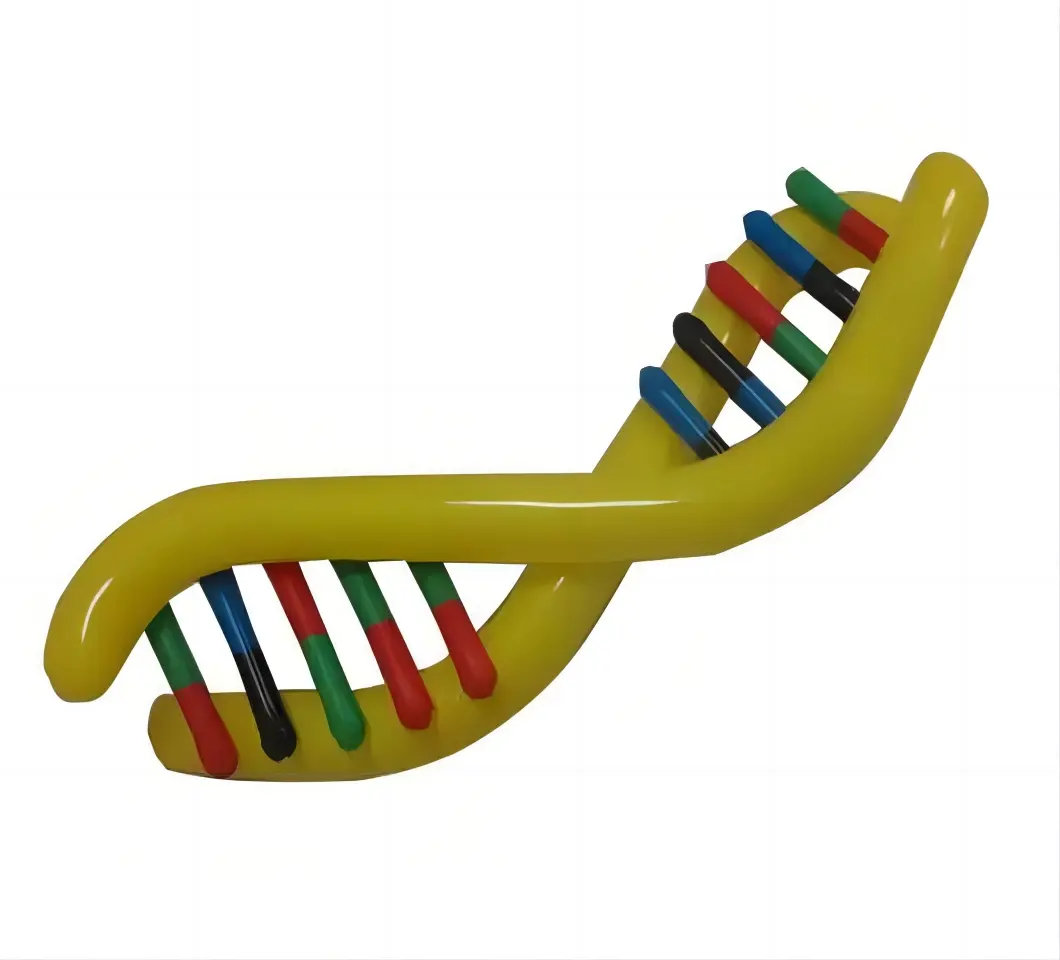 Beile New Trendy 160cmL Modelo de ADN inflable a la venta