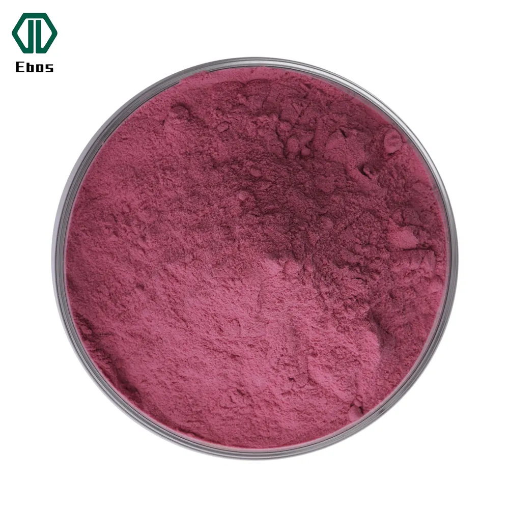 Ebos Großhandels preis Maqui Berry Extract Pulver Gefrier getrocknetes Maqui Berry Powder zu verkaufen