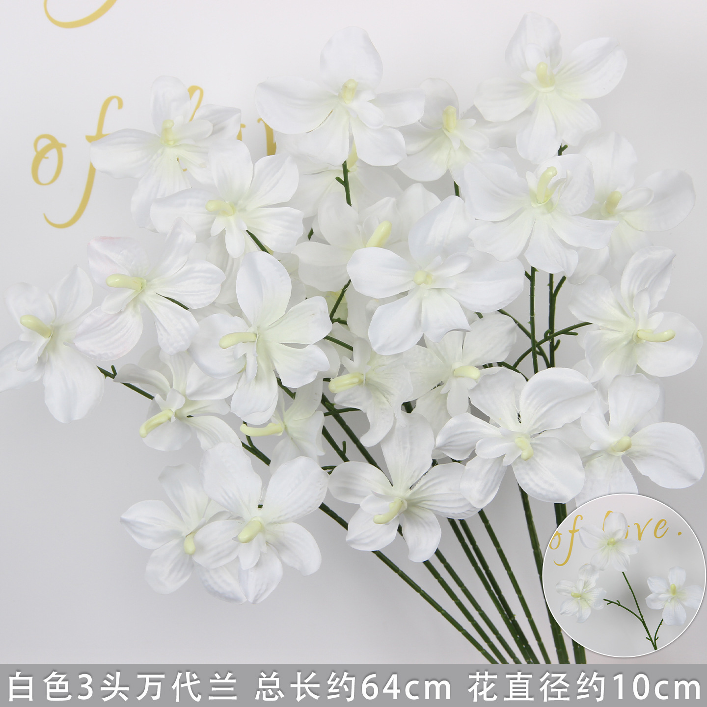 Orchidée Vanda blanche à 3 têtes
