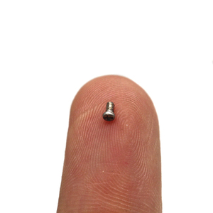 ステンレス鋼なべ頭フィリップス小ネジM0.6M0.7 M0.8 M1.5 M2Ssマイクロネジ - Product Image 2