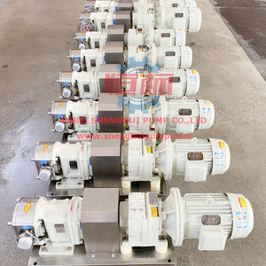 3rp Series Stainless Steel High Pressure Viscous Liquid Rotary Lobe <strong>Pump</strong>