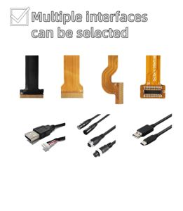 Factory Customization 5MP IMX250LLR/LQR MIPI Sensor Camera Module for Machine Vision <strong>Embedded</strong> <strong>System</strong> - Product Image 5