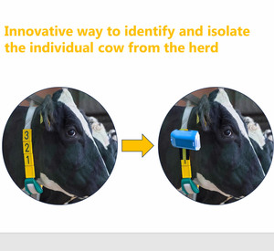 Waterproof Battery Powered Smart Cow Tracking Collar with LED Indicator for Bovine Disease or in Different Pregnancy <strong>Period</strong> - Product Image 3