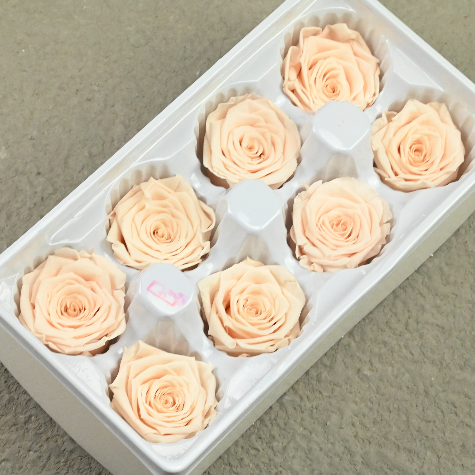 B rose 4-5 mixed color 3