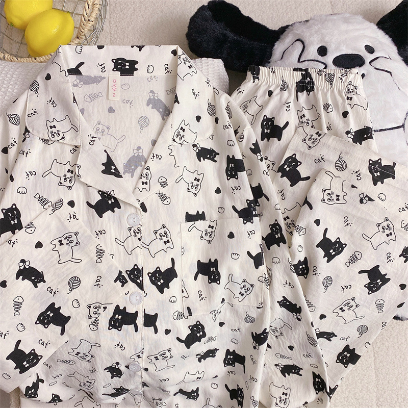 8263 black and white cat