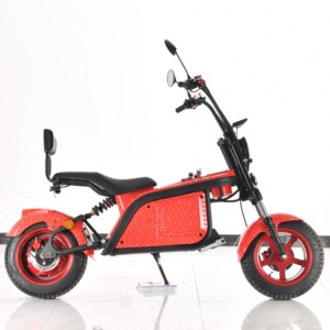 ドロップシッピングサプライヤーYIDE機能電動スクーターCitycoco World Pioneer、自宅での2目的ランニング - Product Image 2