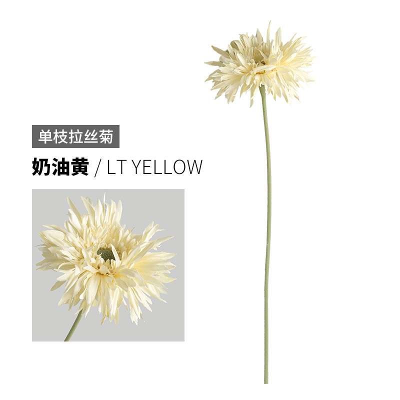 สีเหลืองครีม สีเหลืองอ่อน