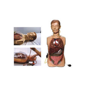 Ada โมเดลล้างท้องใสอเนกประสงค์สอนทางการแพทย์แบบจำลองล้างท้องโปร่งใส - Product Image 5