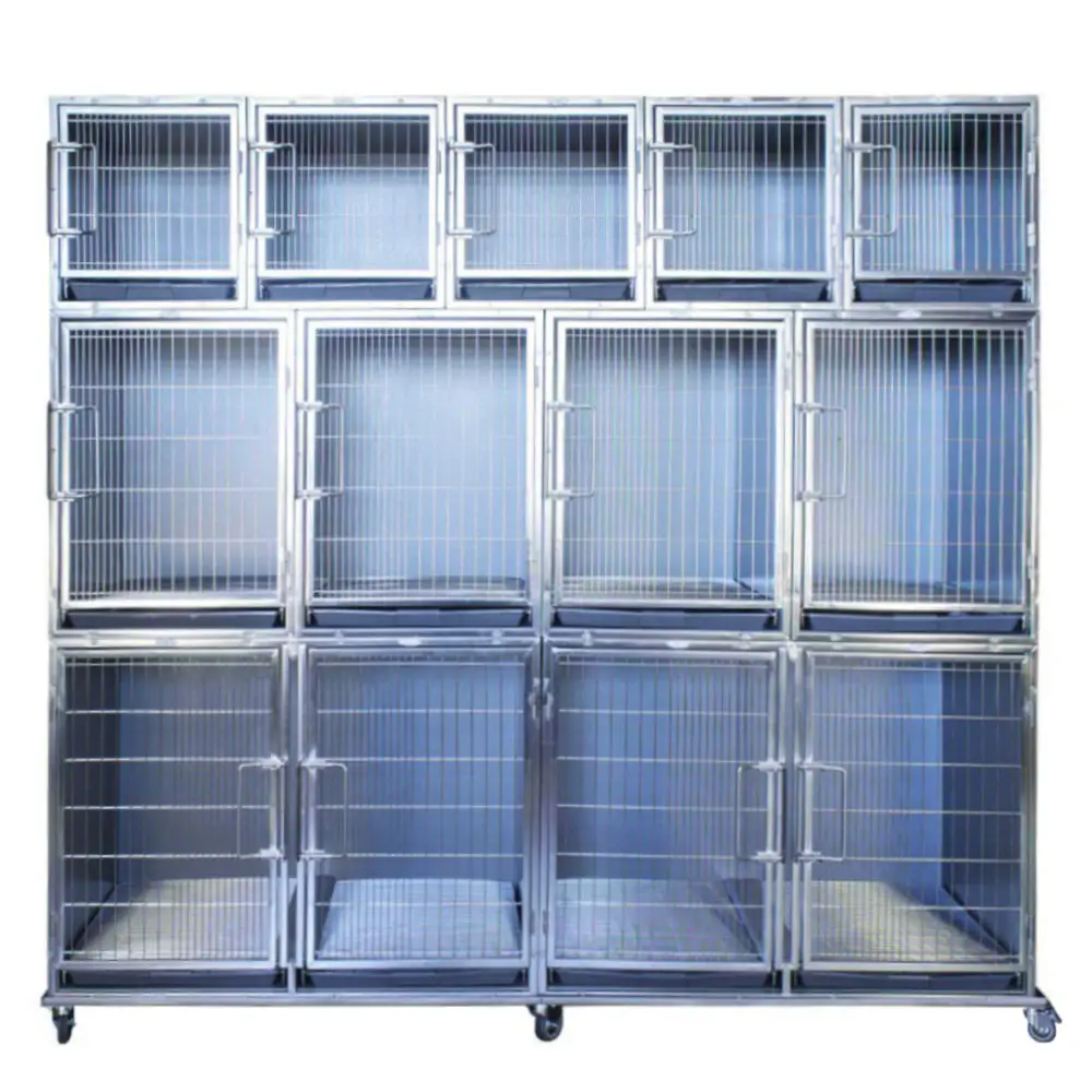 Cage professionnelle en acier inoxydable pour animaux de compagnie chenil en acier inoxydable grand extérieur